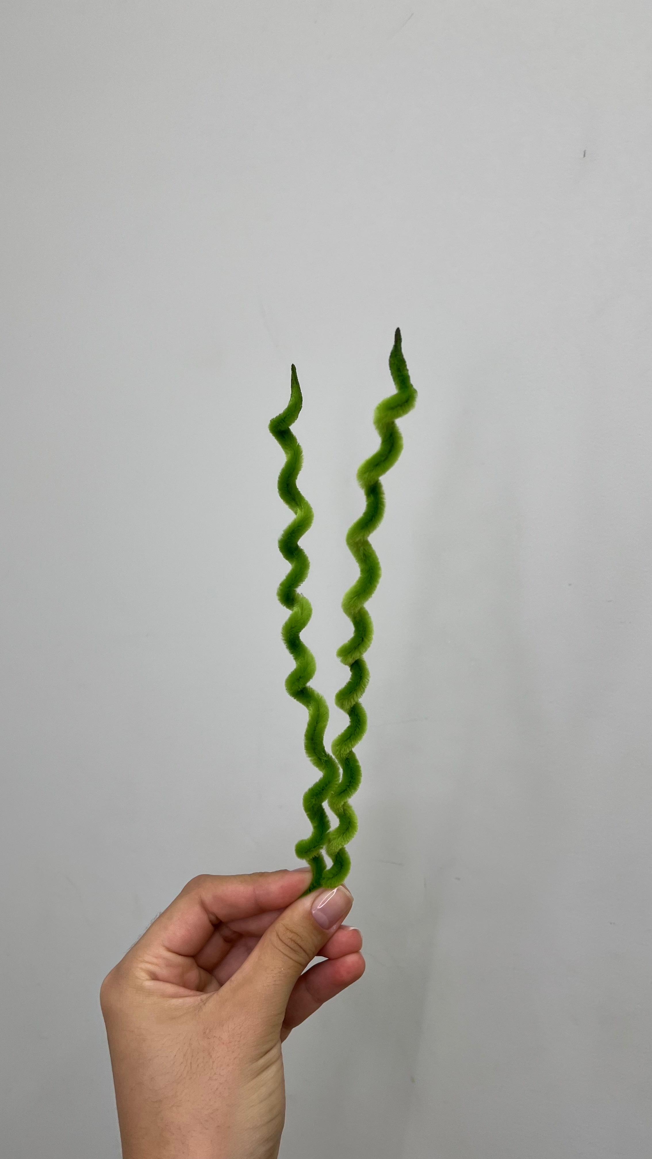 Espiral PipeFlorYou